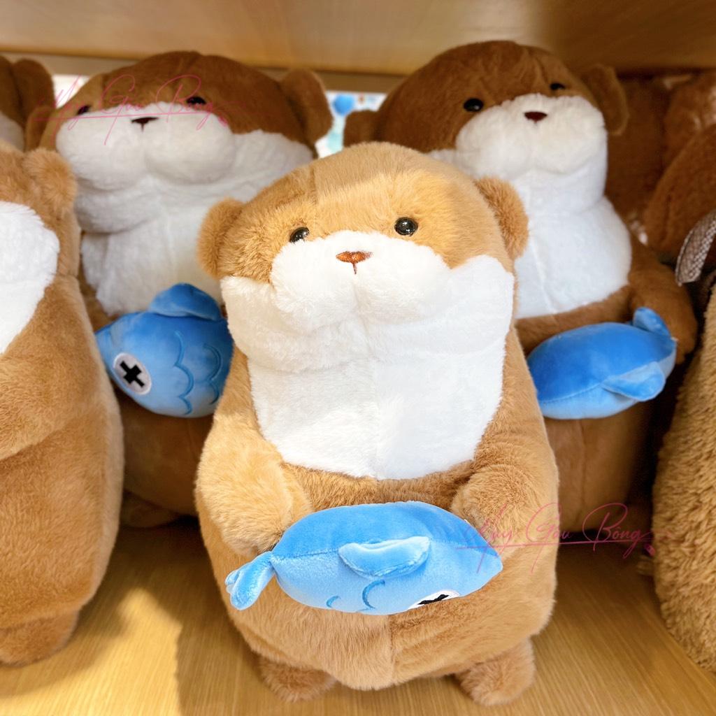 Rái Cá Bông mini ôm cá