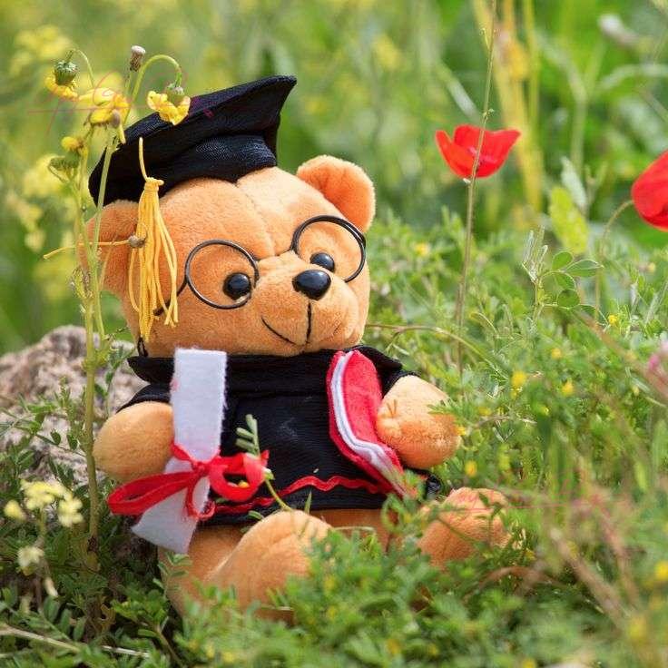 Gấu bông mặc áo tốt nghiệp – quà tặng tri ân thầy cô và học sinh