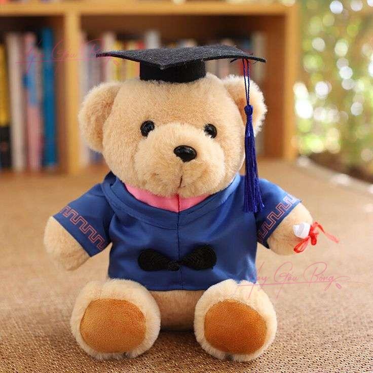 Gấu bông mặc áo tốt nghiệp – quà tặng tri ân thầy cô và học sinh