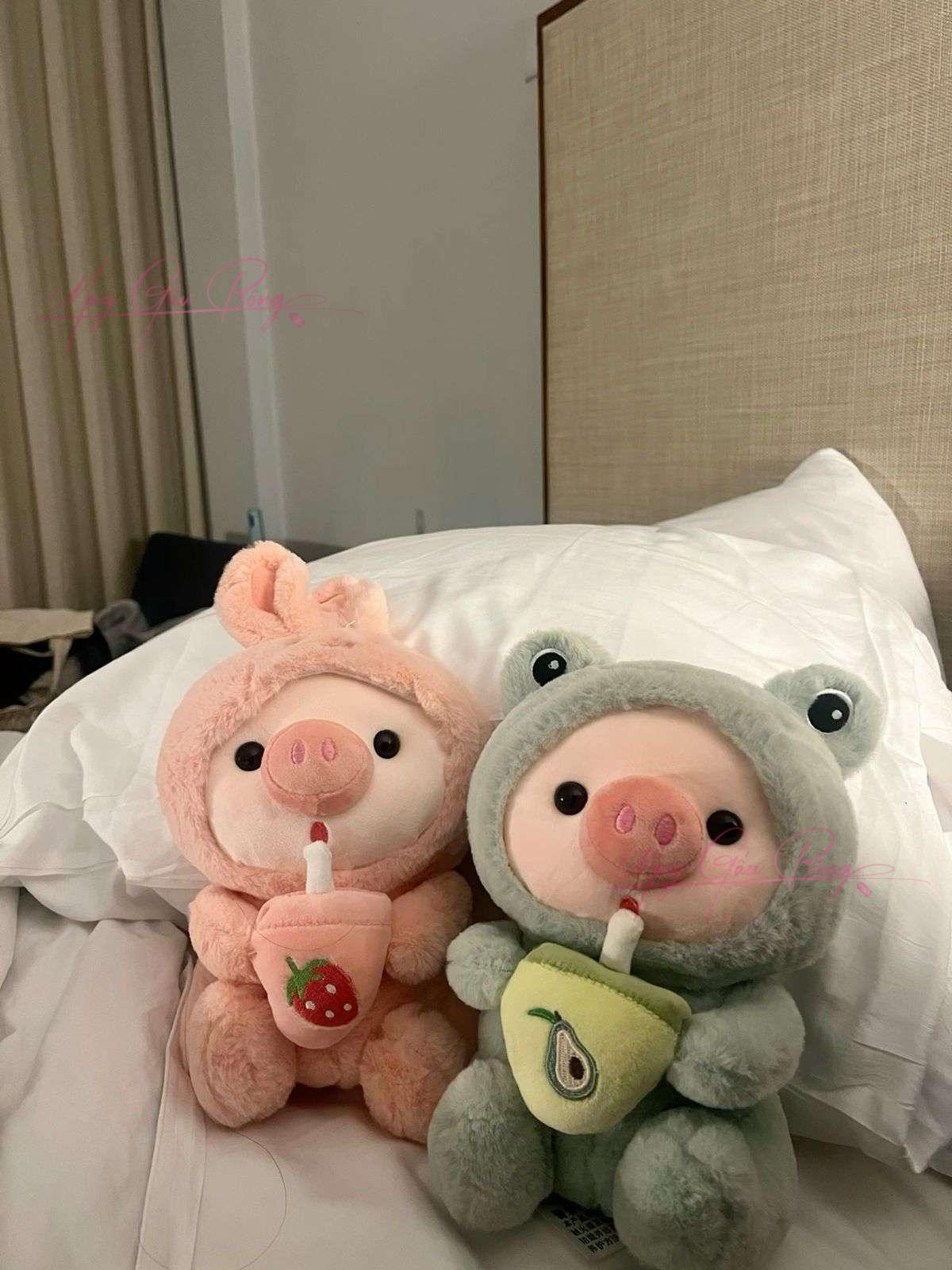 Thú nhồi bông giá rẻ đủ loại – đa dạng mẫu mã, phù hợp mọi dịp