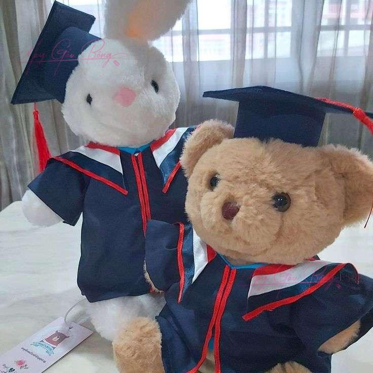 Thú nhồi bông tốt nghiệp mặc áo cử nhân – món quà chúc mừng dễ thương