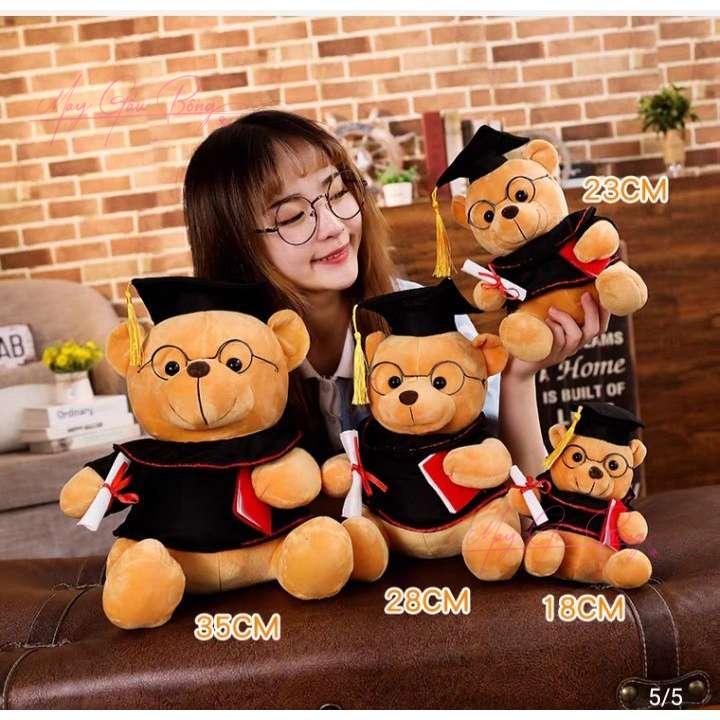Gấu bông tốt nghiệp cao cấp – quà tặng tri ân thầy cô và học sinh
