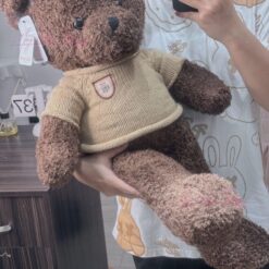 Gấu Teddy áo len lông xoắn
