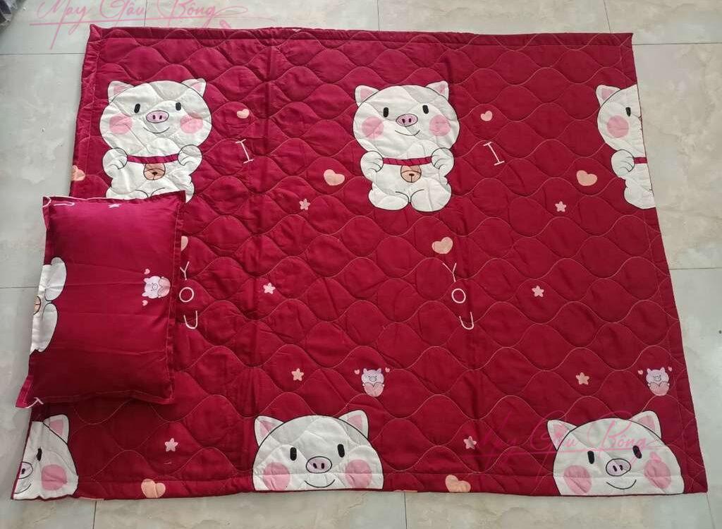 Bộ chăn gối tiểu học