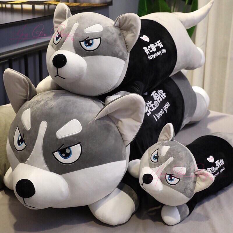 Chó Bông Husky Baby lông mịn ngồi mặc áo Hoodie