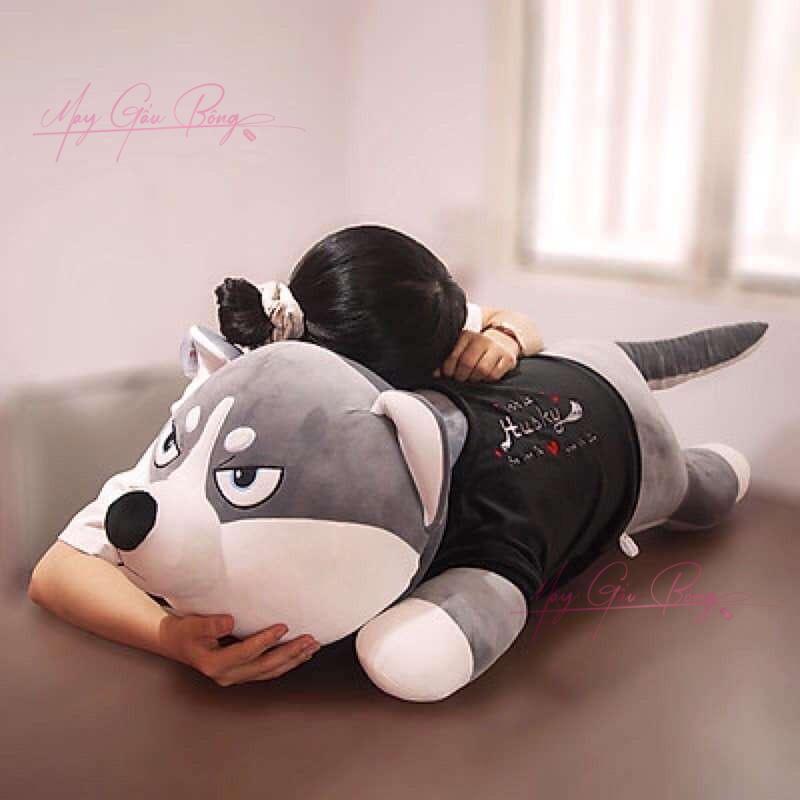 Chó Bông Husky Baby lông mịn ngồi mặc áo Hoodie