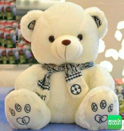 Xưởng may gấu bông Teddy – Đủ kích cỡ, chất liệu cao cấp 3 Xưởng may gấu bông Teddy – Đủ kích cỡ, chất liệu cao cấp