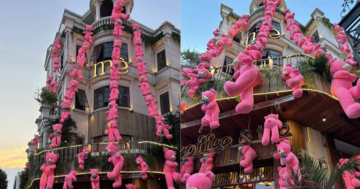 Gấu bông cao cấp cho tiệm cà phê, studio chụp ảnh 1 gấu bông cao cấp