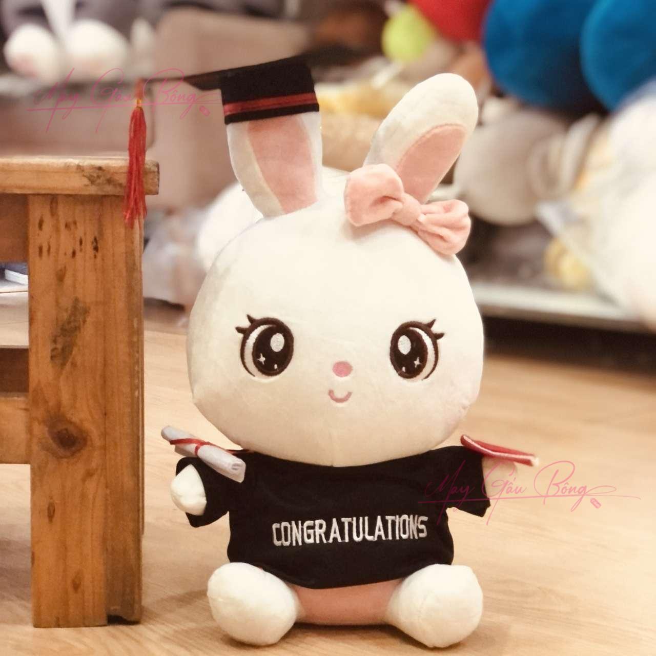 Xưởng nhận may gấu bông theo yêu cầu cho tiệm quà lưu niệm 1 gấu bông theo yêu cầu