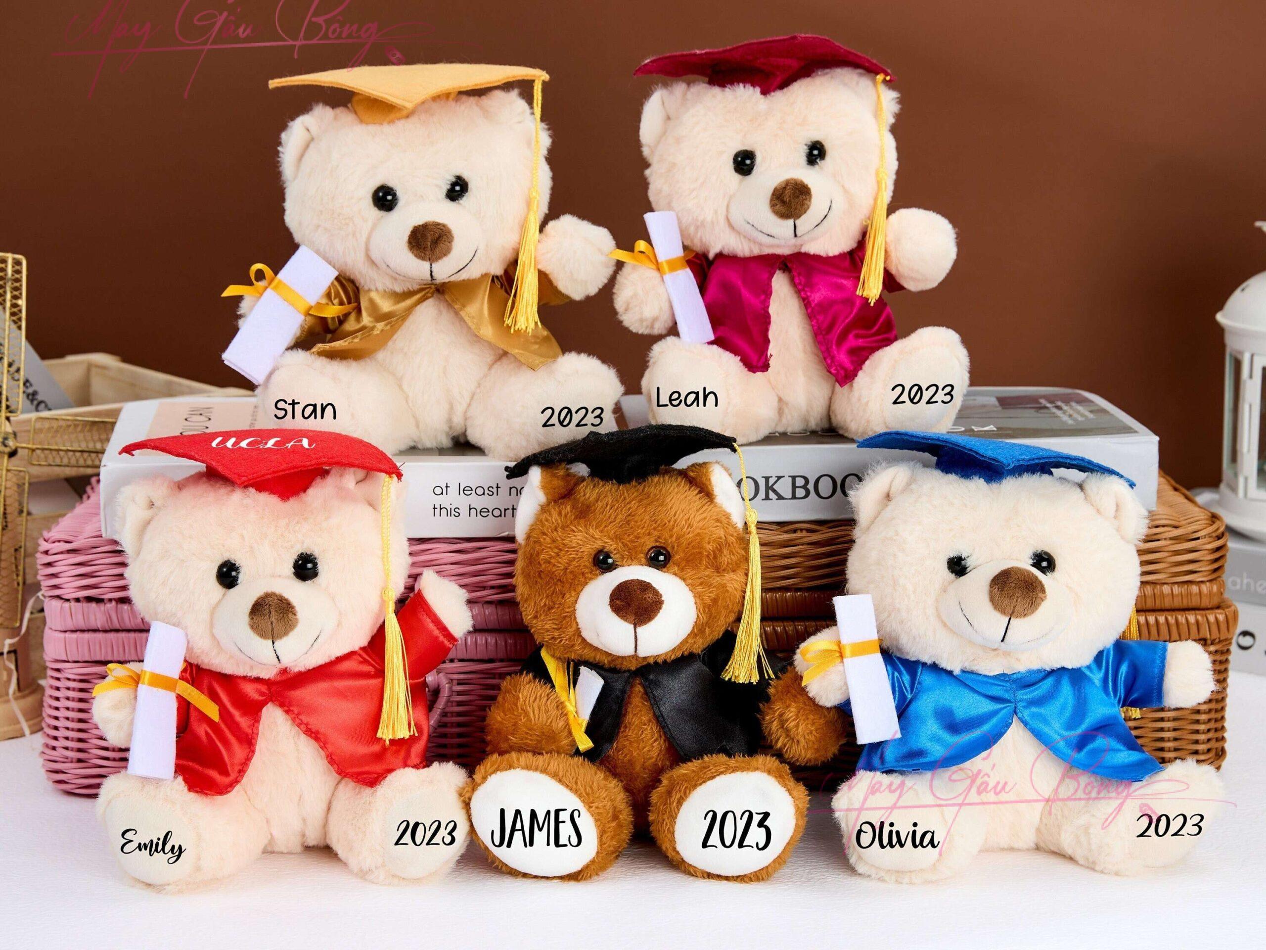 May thú nhồi bông tốt nghiệp – sản xuất số lượng lớn cho trường học