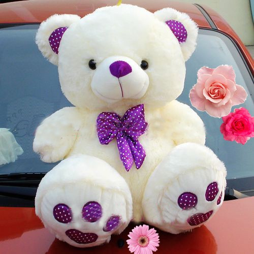 gau teddy gau eo no tim
