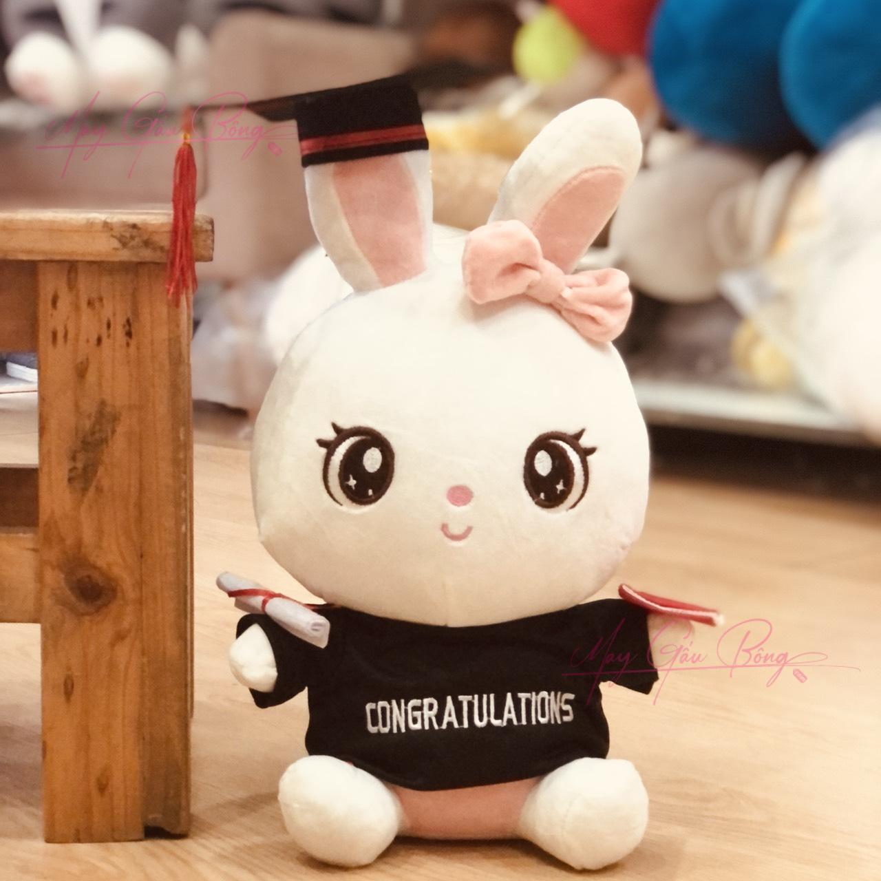 Trang chủ 111 May thú nhồi bông tốt nghiệp – sản xuất số lượng lớn cho trường học