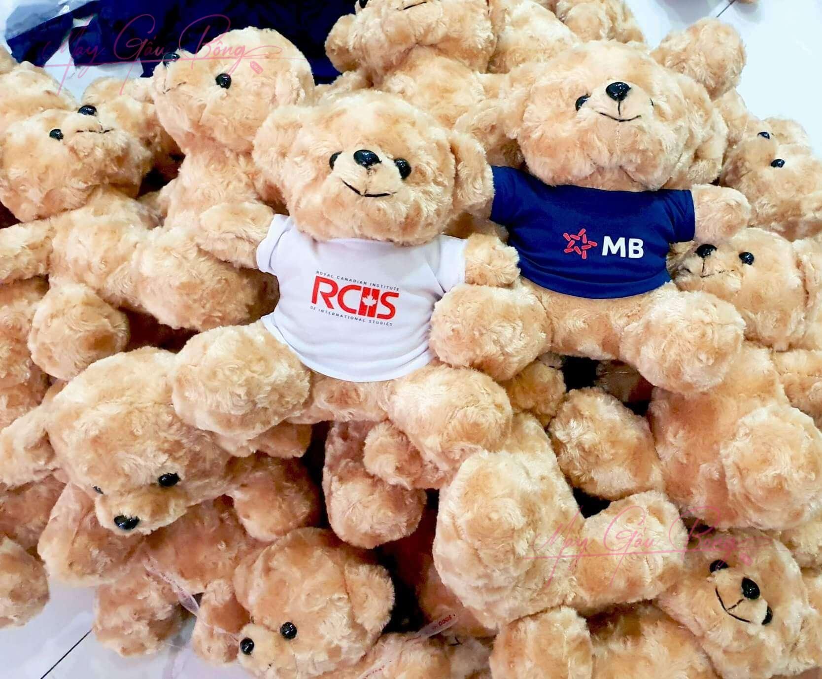 Nhận may gấu bông theo yêu cầu – Thiết kế riêng, không trùng lặp 1 Nhận may gấu bông theo yêu cầu – Thiết kế riêng, không trùng lặp