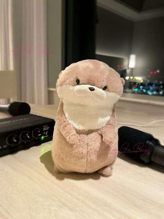 Rái Cá Bông mini ôm cá