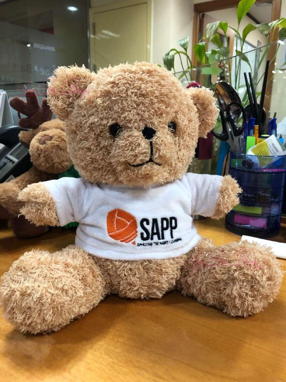 Gấu bông in logo theo yêu cầu