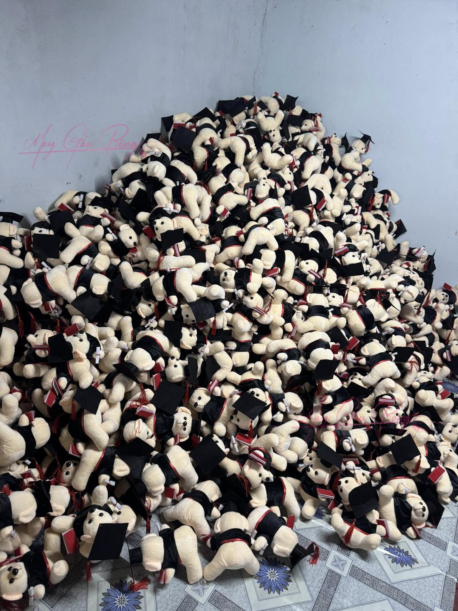 Gau Bong Tot Nghiep 11