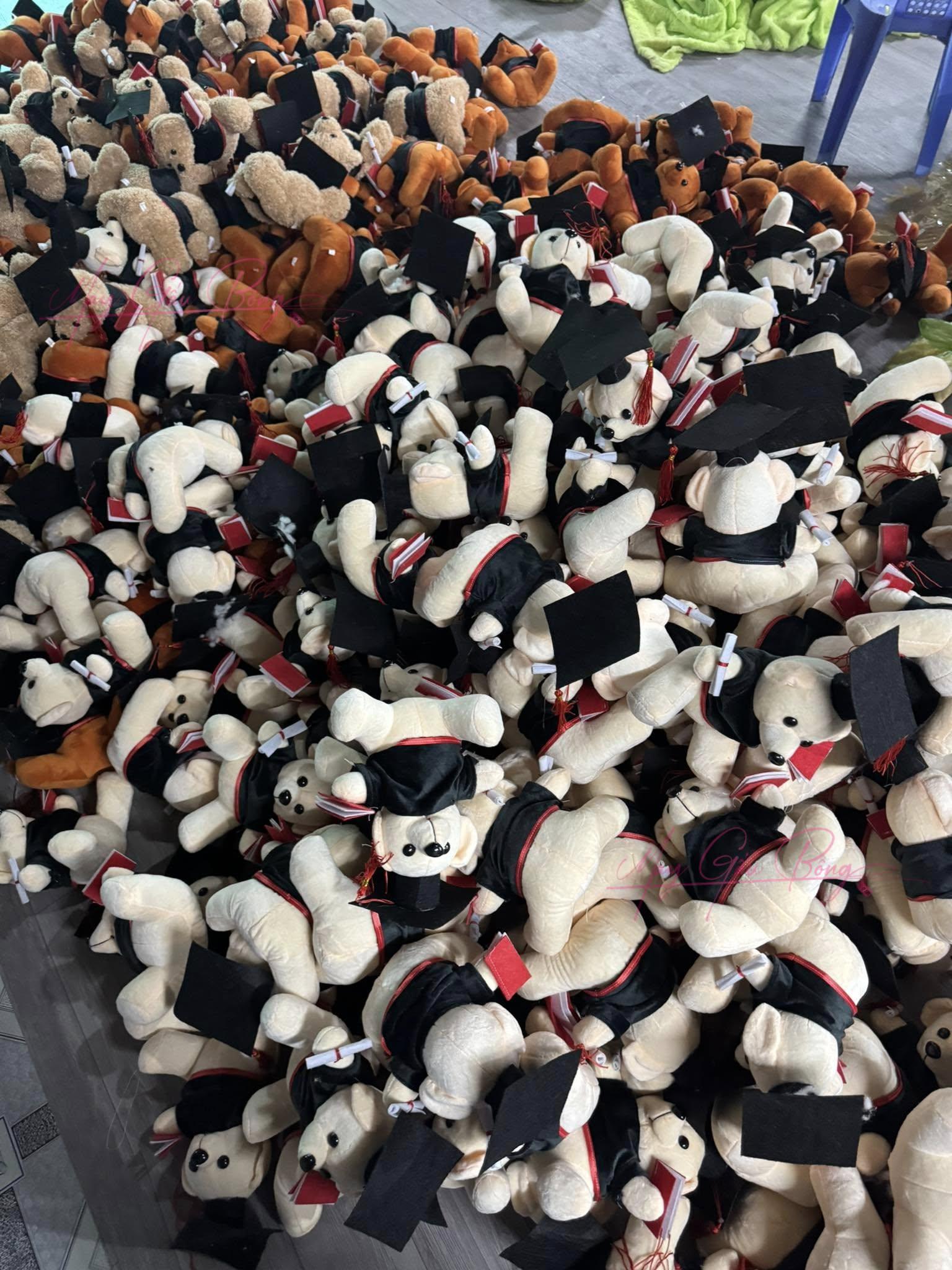 sản xuất gấu bông tốt nghiệp