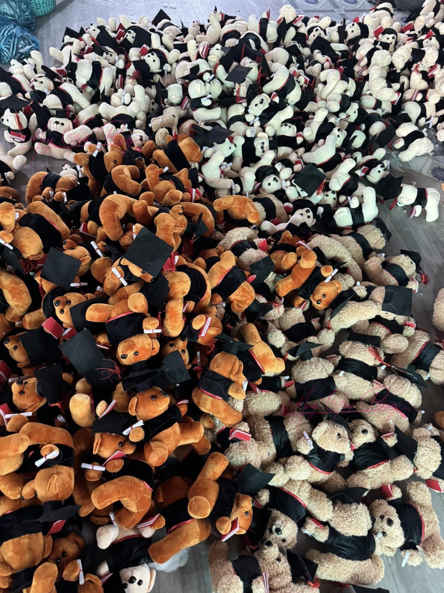 Gau Bong Tot Nghiep 9