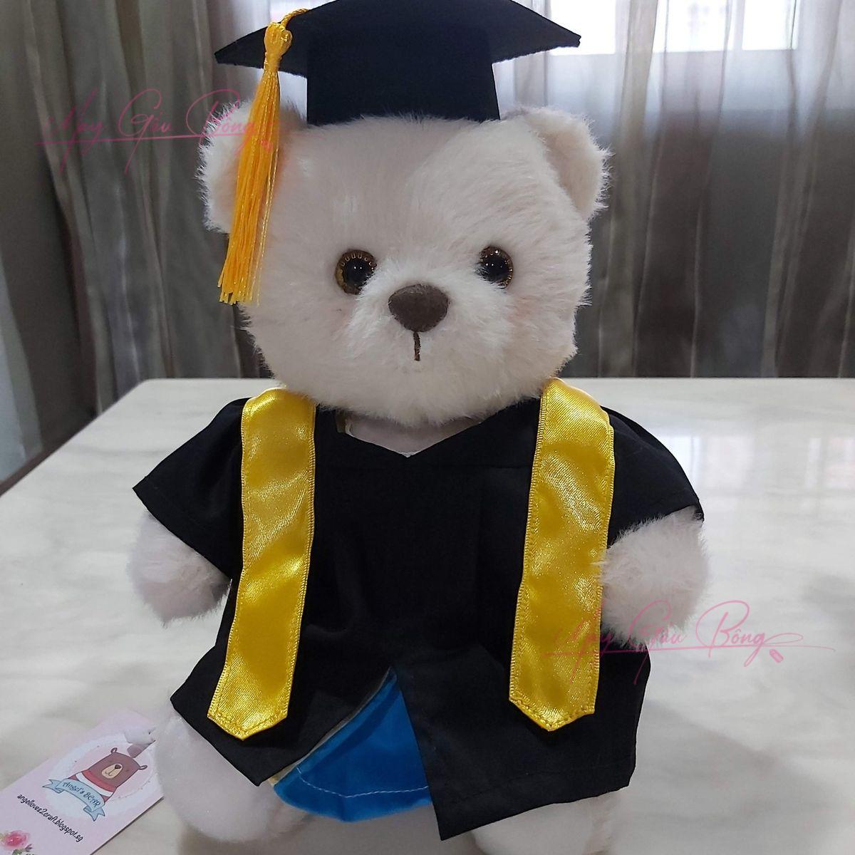 gấu bông tốt nghiệp