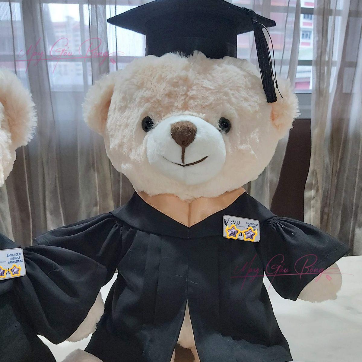 gấu bông tốt nghiệp