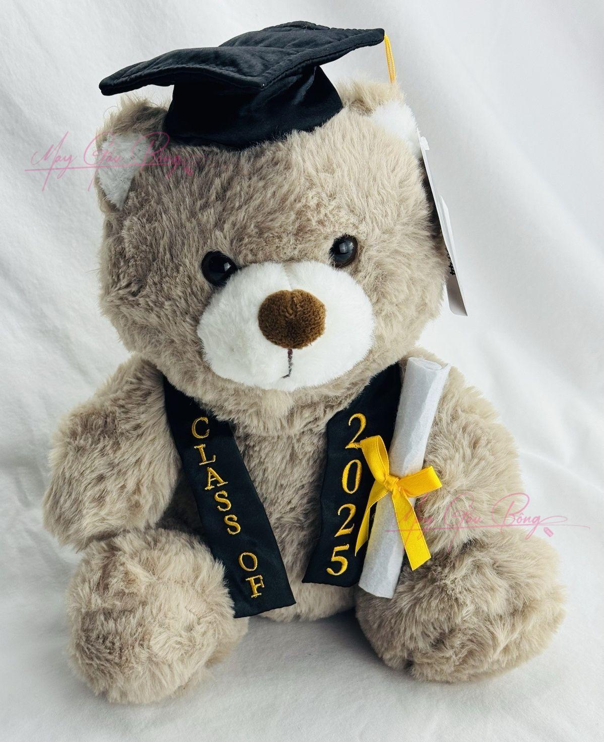 gấu bông tốt nghiệp