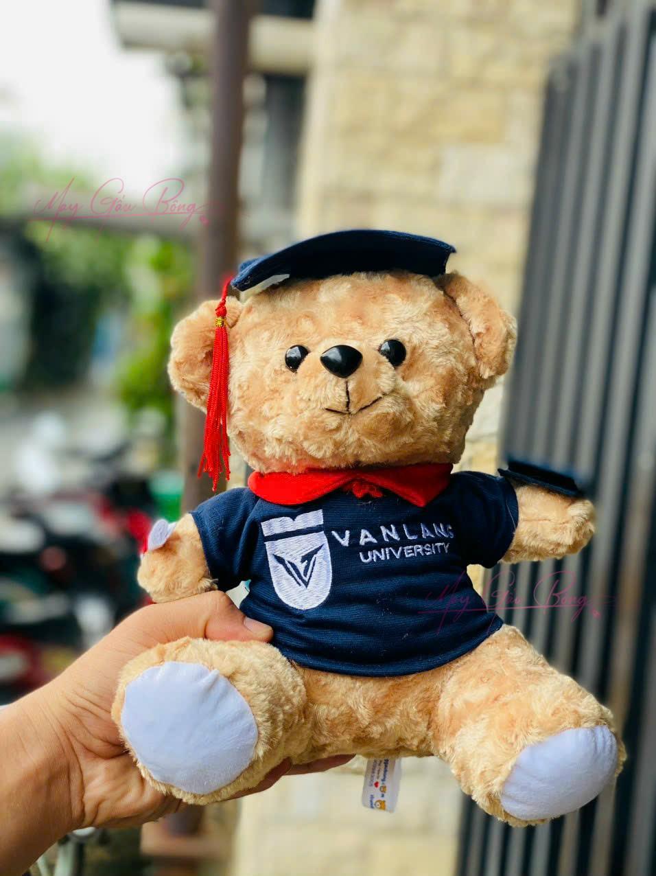 gấu bông tốt nghiệp