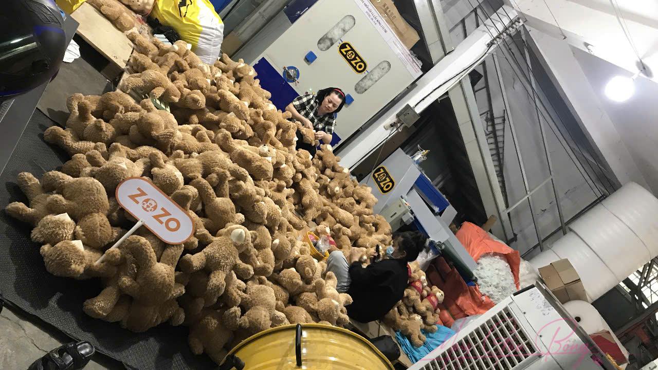 gấu bông tốt nghiệp 