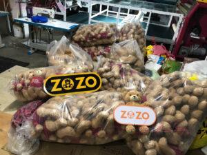 gấu bông tôt nghiệp