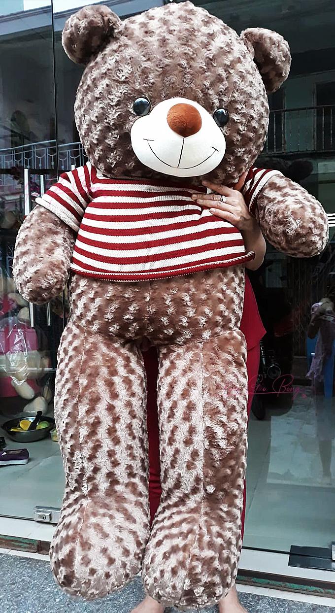 4-gau-bong-1m6-teddy-size-1m6-mau-xam-khoi 4 gau bong 1m6 teddy size 1m6 mau xam khoi