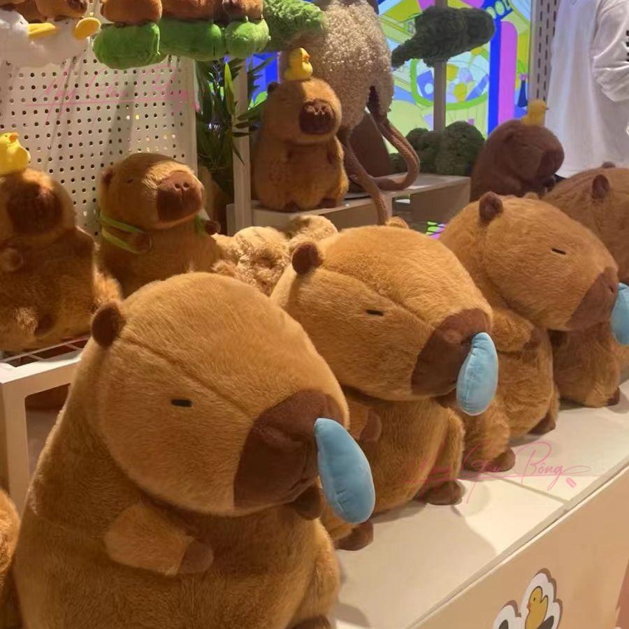 6d6d4056f02b8c8a33c567e4ac795532 6d6d4056f02b8c8a33c567e4ac795532