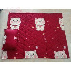 BỘ CHĂN GỐI TIỂU HỌC GỌN NHẸ – MAY THEO YÊU CẦU TẠI XƯỞNG ZOZO