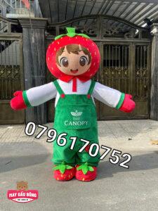 MASCOT HƠI DÂU TÂY CANOPY 8 MASCOT HƠI DÂU TÂY CANOPY