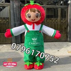 MASCOT HƠI DÂU TÂY CANOPY