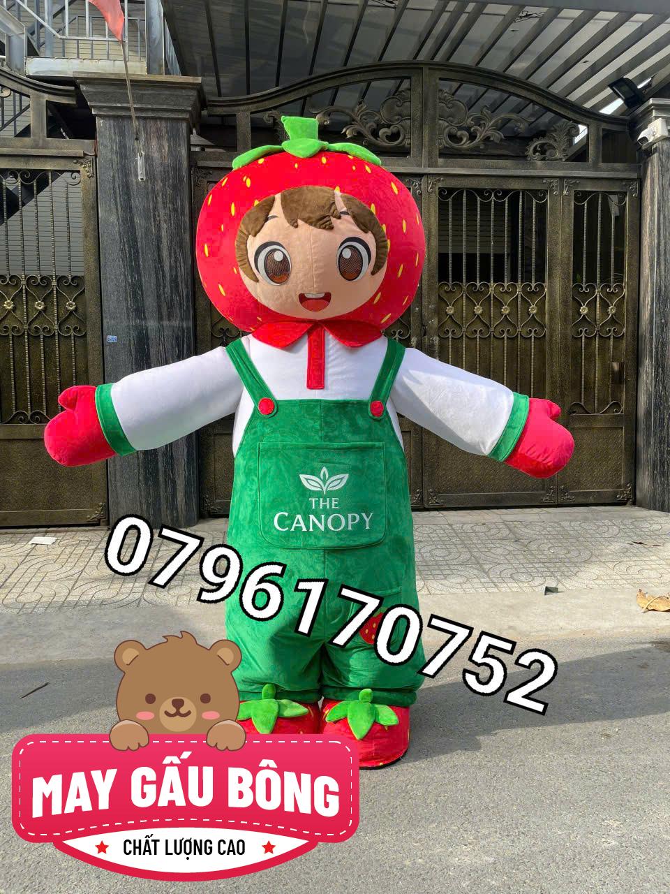 MASCOT HƠI DÂU TÂY CANOPY MASCOT HƠI DÂU TÂY CANOPY