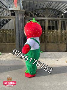 MASCOT HƠI DÂU TÂY CANOPY 9 MASCOT HƠI DÂU TÂY CANOPY