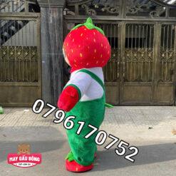 MASCOT HƠI DÂU TÂY CANOPY 5 1789440246333 630689808031767983 8960134116212093239 dc9a53da9808dc53caae03b205cb7b21