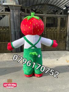 MASCOT HƠI DÂU TÂY CANOPY 10 MASCOT HƠI DÂU TÂY CANOPY