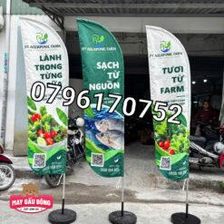 CỜ PHƯỚN PT AQUAPONIC FARM